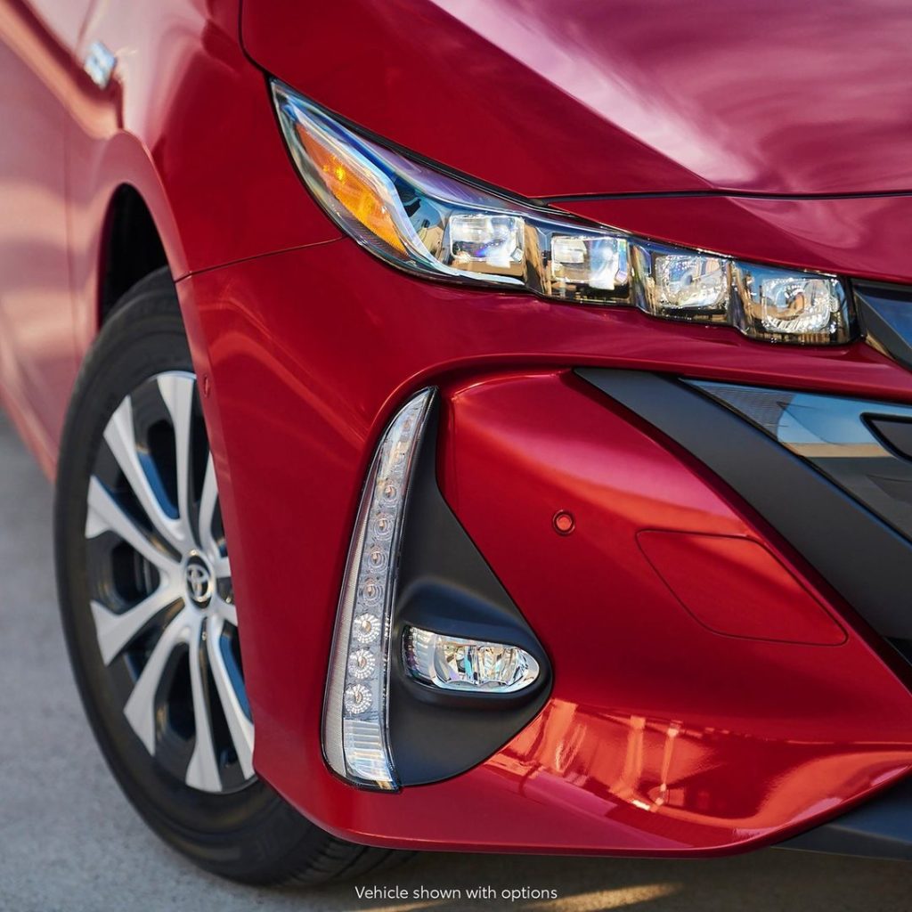 Doesn't shy away from direct eye contact.  #Prius #Prime #EarthMonth #LetsGoPlac...