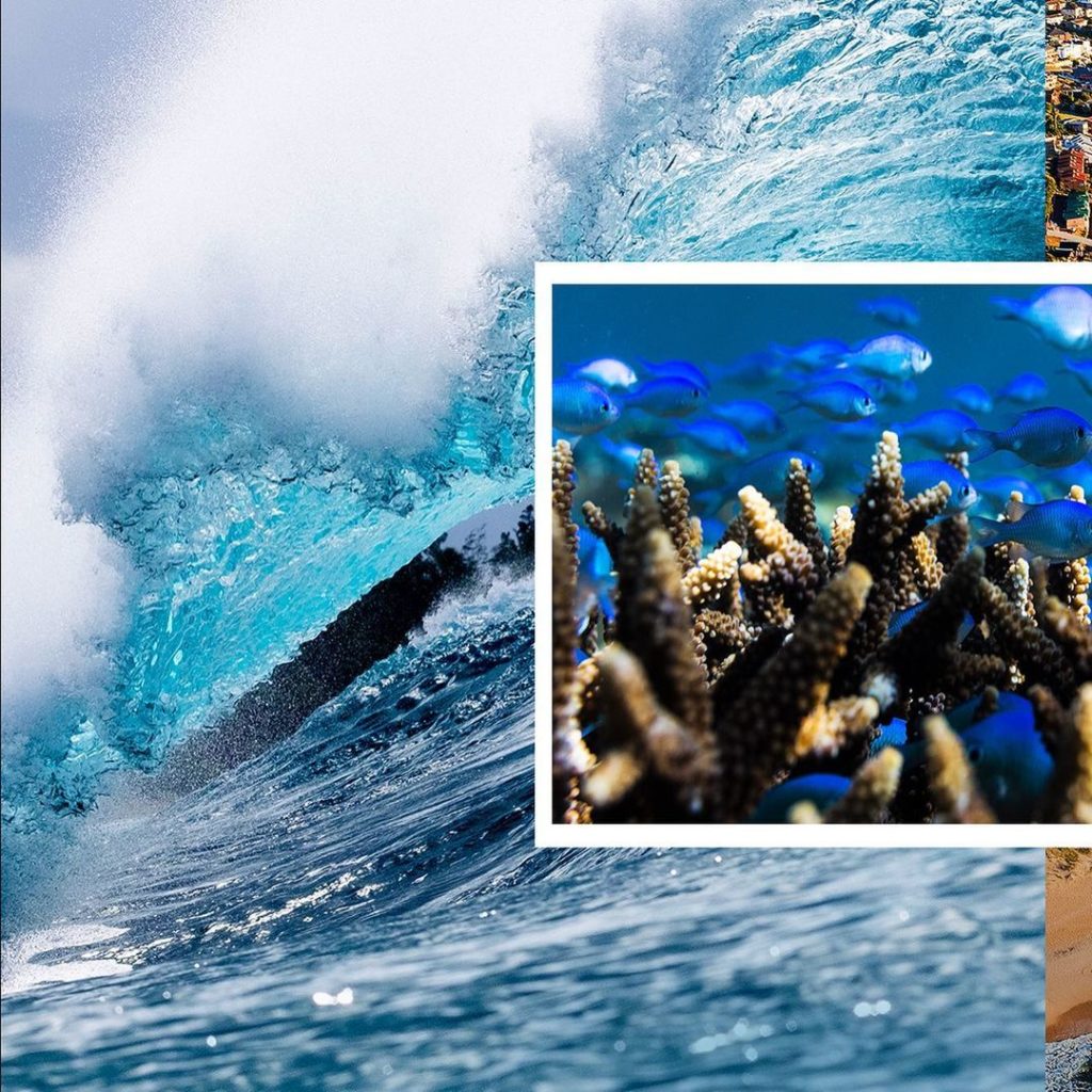 In honor of Earth Day, we stand together with @wsl @wslpure and call on world le...