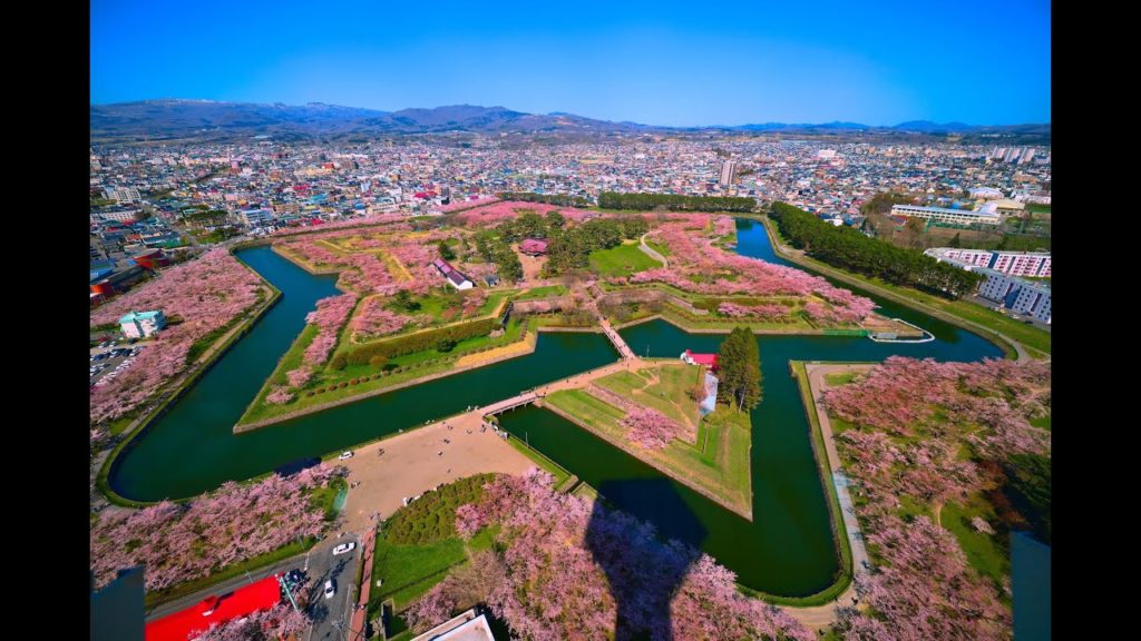 JG☆☆☆8K HDR 北海道 桜の函館五稜郭(特別史跡) 満開直前の最も紅い桜 Hokkaido, Sakura at Goryokaku, Deepest Color Day