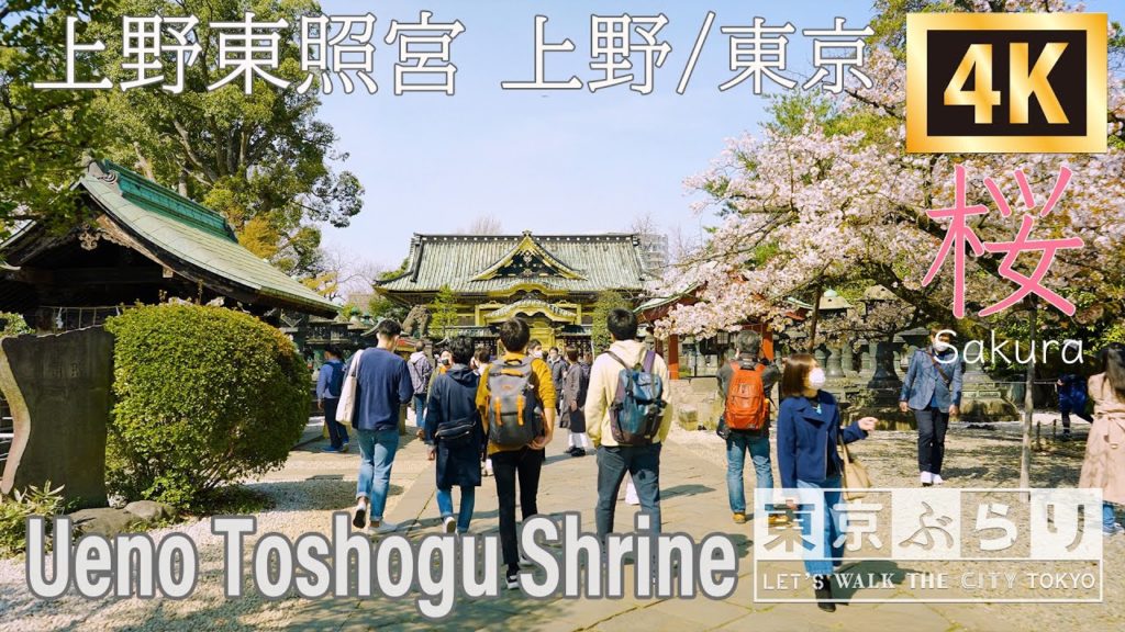 Ueno Toshogu Shrine ,Sakura 上野東照宮   [4K]  東京ぶらり  Tokyoburari Scenery Version   TOKYO Japan