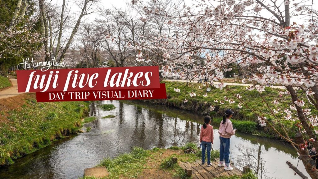 Spring in Tokyo 2019: Mt. Fuji Five Lakes area | The Tummy Train