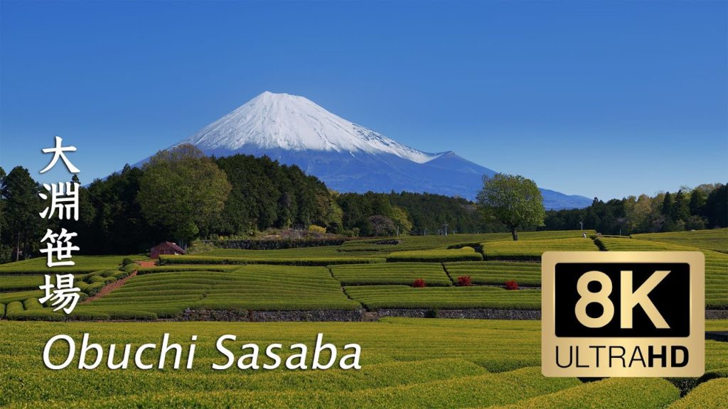 Obuchi Sasaba Green Tea Plantations and Mt. Fuji – Shizuoka – 大淵笹場 – 8K Obuchi Sasaba Green Tea Plantations and Mt. Fuji - Shizuoka - 大淵笹場 - 8K