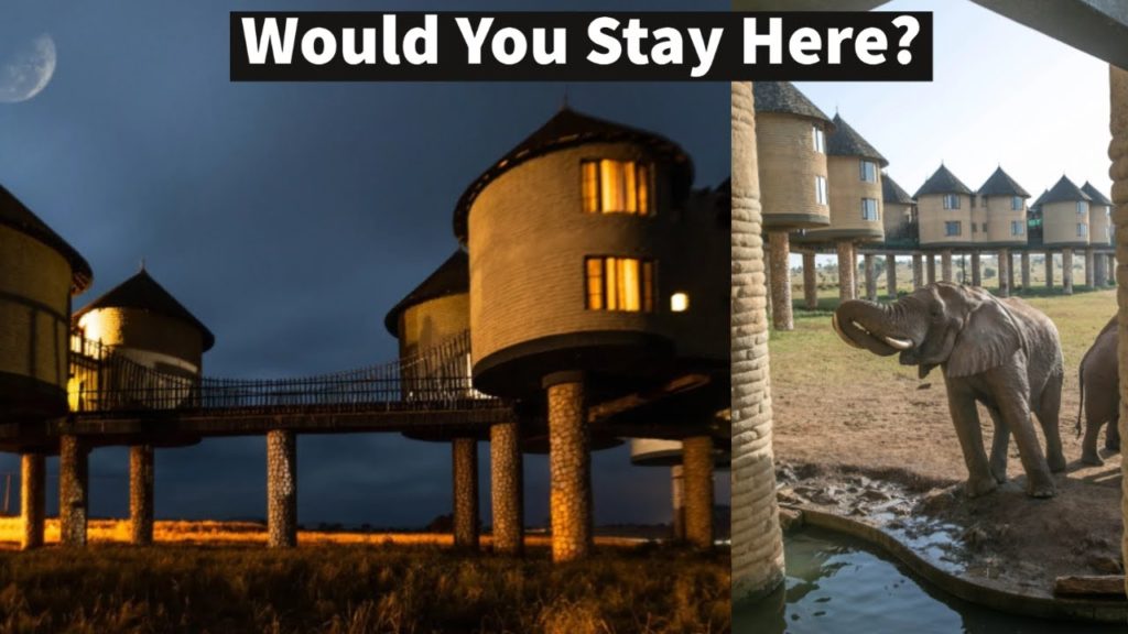 Liv Kenya | Salt Lick Safari Lodge Kenya | Is It Worth The Cost? | Safari Lodge Tour