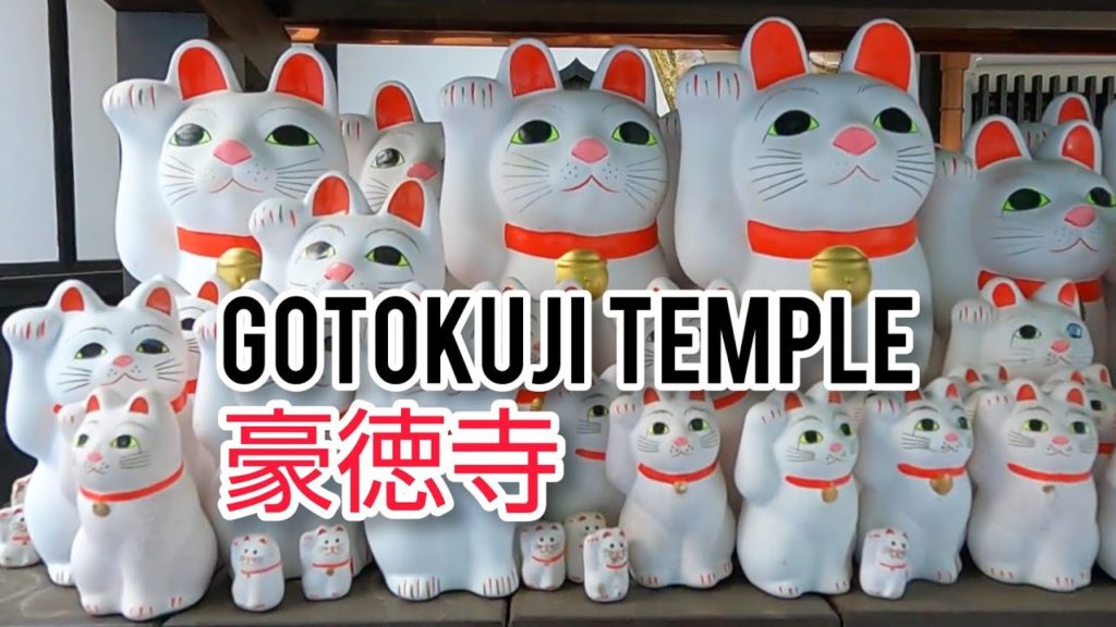 Goutokuji 豪徳寺【散歩】TOKYO Walking Tour Goutokuji 豪徳寺【散歩】TOKYO Walking Tour