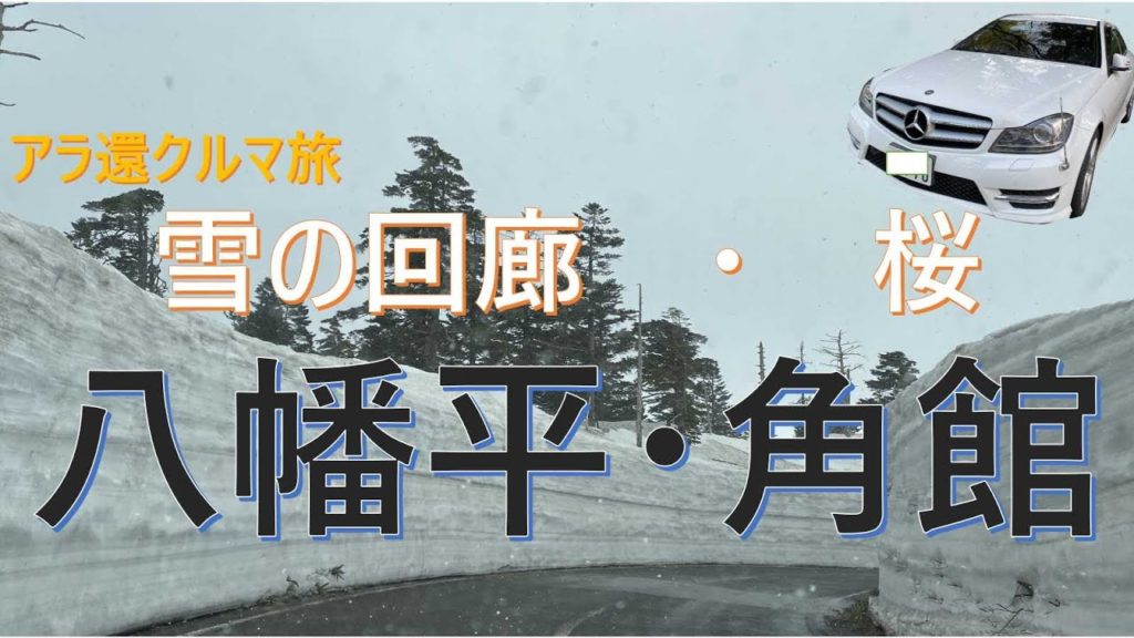 【アラ還・クルマ旅】雪の回廊＝八幡平アスピーテライン　桜吹雪＝角館　真人公園　水芭蕉　[Ara return / car trip] Snow Corridor = Hachimantai