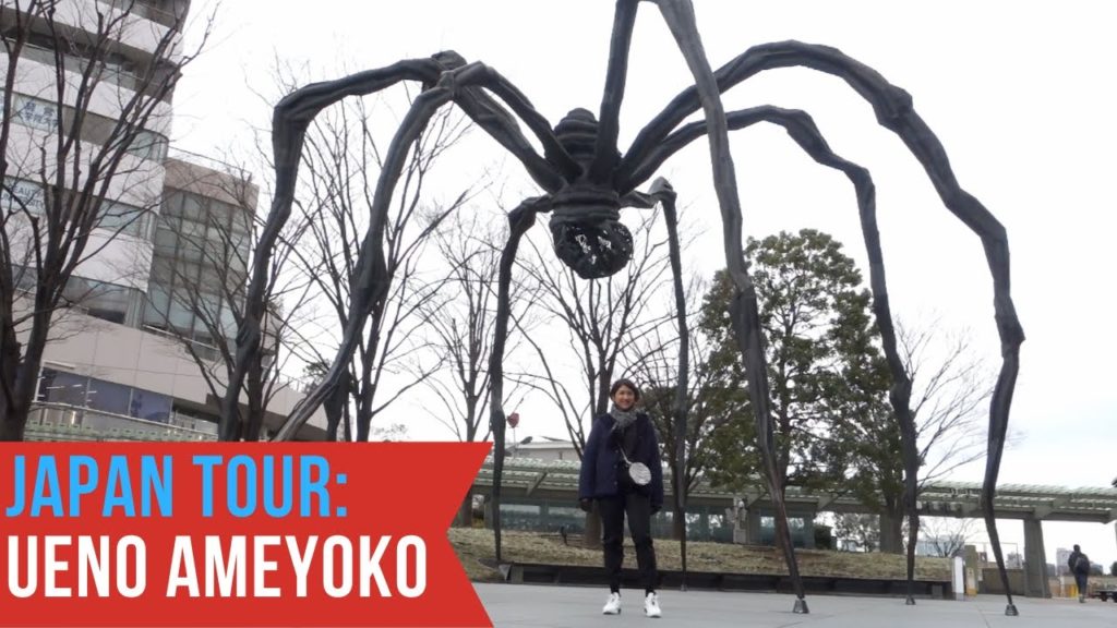 Japan Tour: Ueno Ameyoko