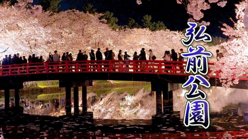 【Cherry blossoms】Hirosaki Park (Hirosaki Castle) 2021. 日本三大桜の名所 弘前城 #4K #弘前公園 #桜 【Cherry blossoms】Hirosaki Park (Hirosaki Castle) 2021. 日本三大桜の名所 弘前城 #4K #弘前公園 #桜