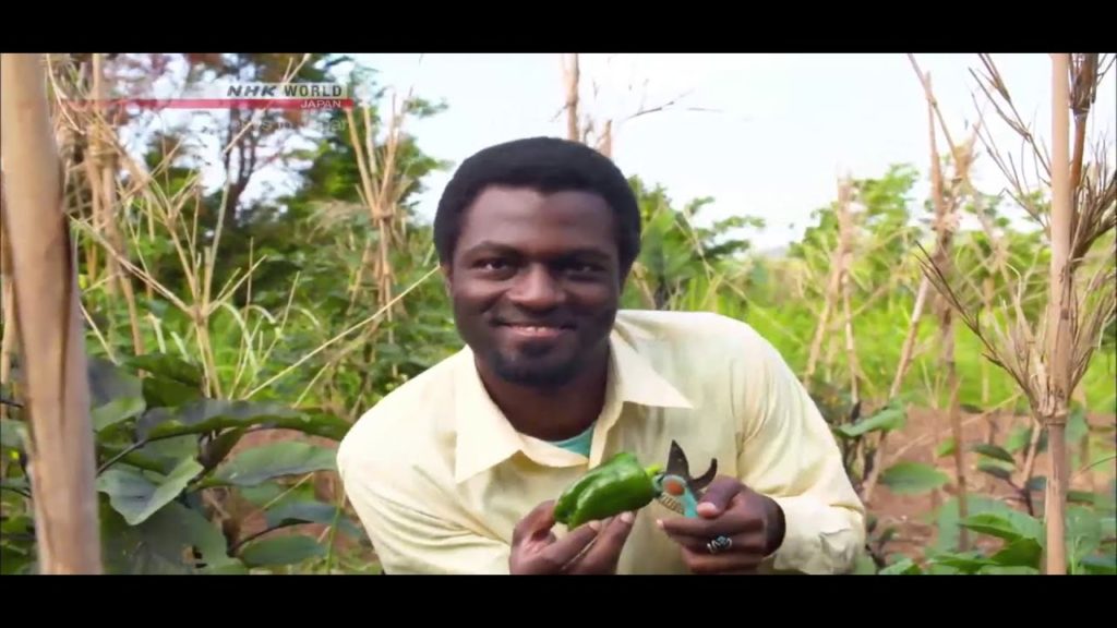 Travel Japan: Okija Island, Portal to Japan's Past