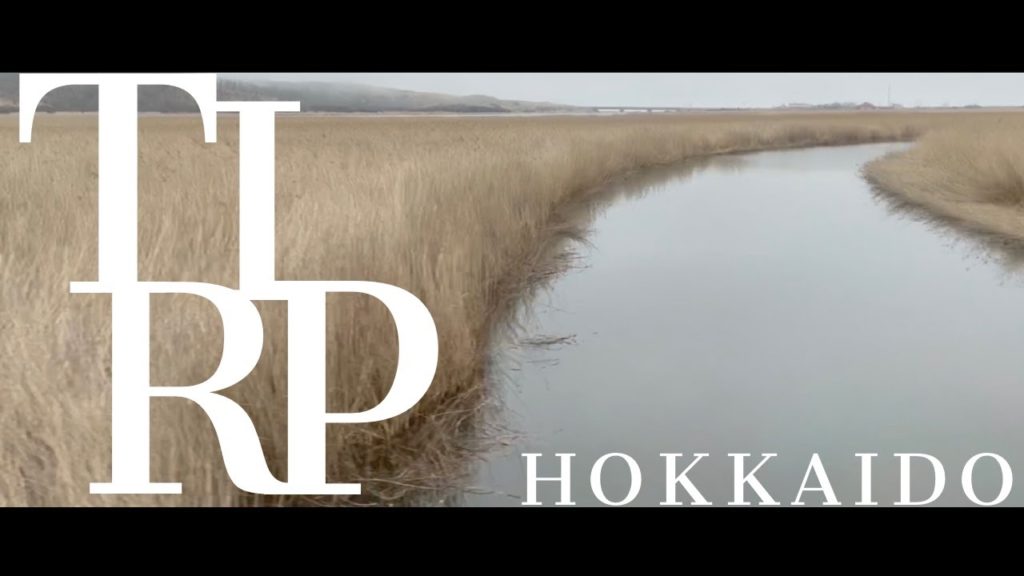 【TRIP VLOG】My Solo Trip to Hokkaido | 北海道VLOG | まるで海外?素晴らしすぎる景色を見る旅に行ってきた | 春国岱 釧路湿原 ep.1 【TRIP VLOG】My Solo Trip to Hokkaido | 北海道VLOG | まるで海外?素晴らしすぎる景色を見る旅に行ってきた | 春国岱 釧路湿原 ep.1