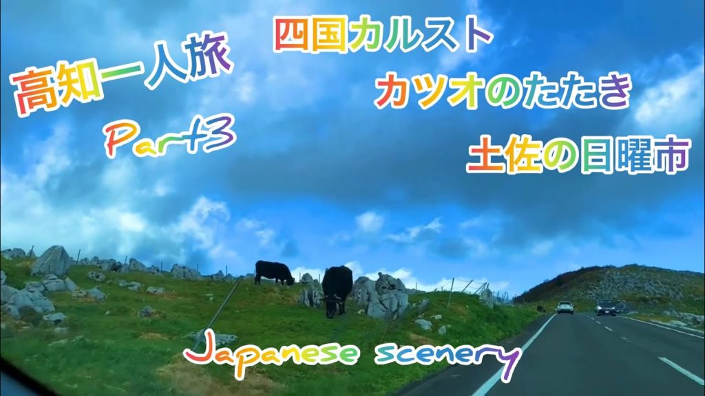 高知旅行その3！美味しいカツオのたたきに舌鼓を打ち！土佐の日曜市の食べ歩きで舌鼓を打つ！Kochi trip part 3.