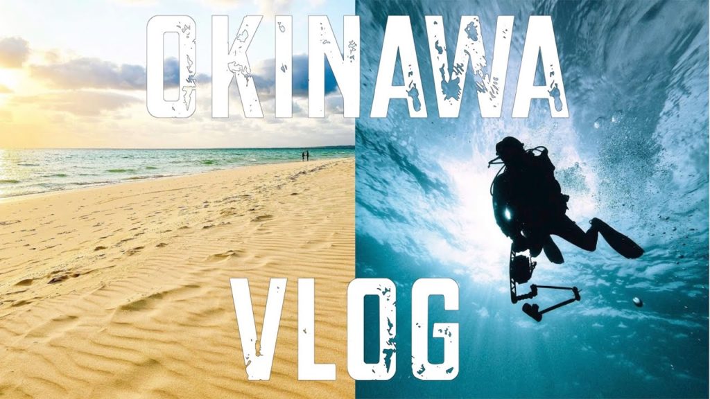 JAPAN! OKINAWA TRAVEL VLOG6