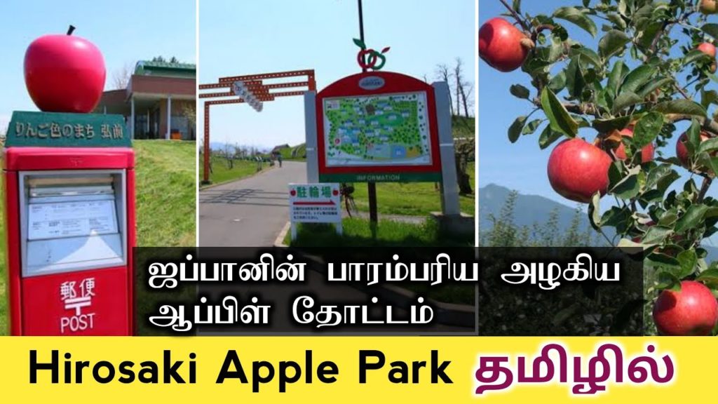 🍎அழகிய 🍎ஆப்பிள் தோட்டம் ஜப்பான் | Hirosaki Apple Park Aomori City Japan🍎🍎🍎🍎🍎