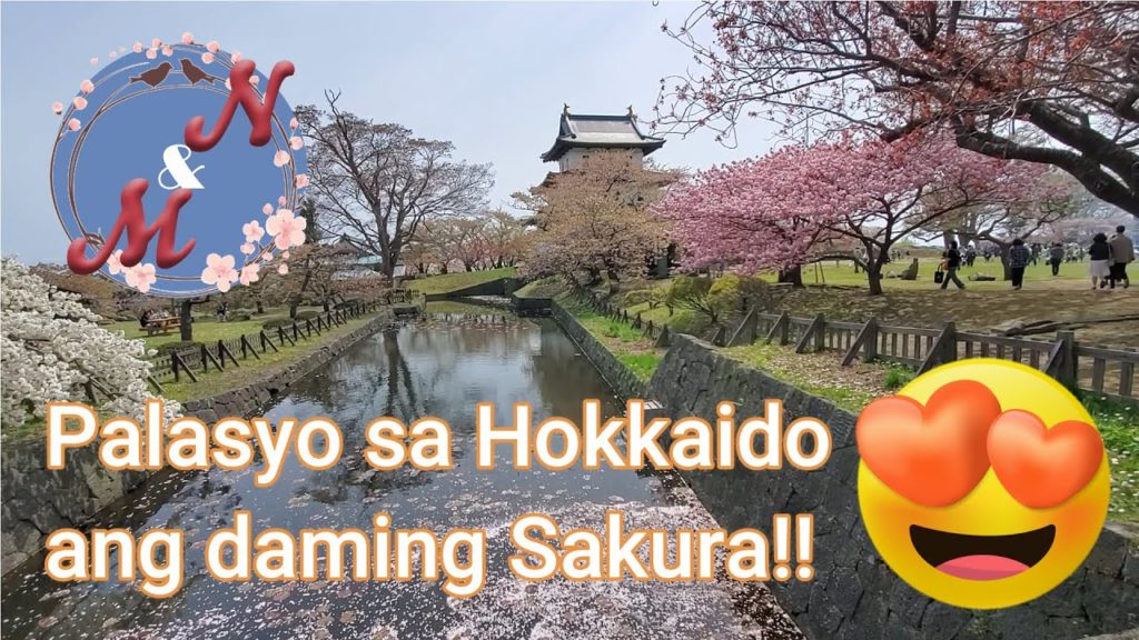 TOP HOKKAIDO DESTINATION Matsumae Castle Sakura Festival