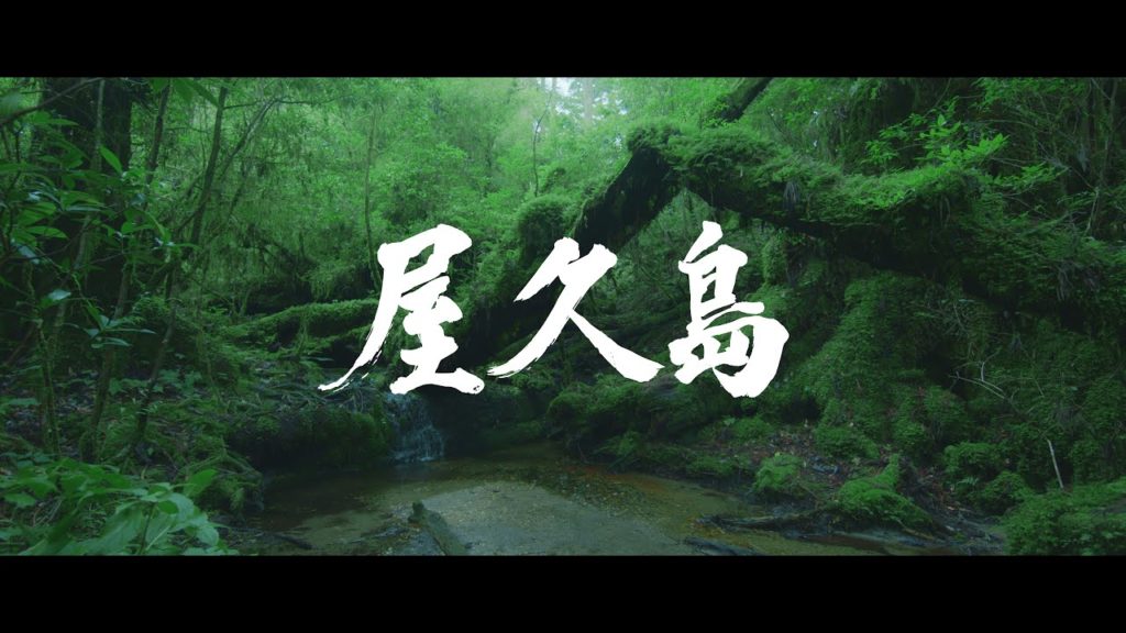 【屋久島 Yakushima】BREATHTAKING KAGOSHIMA〜心奪われる鹿児島〜
