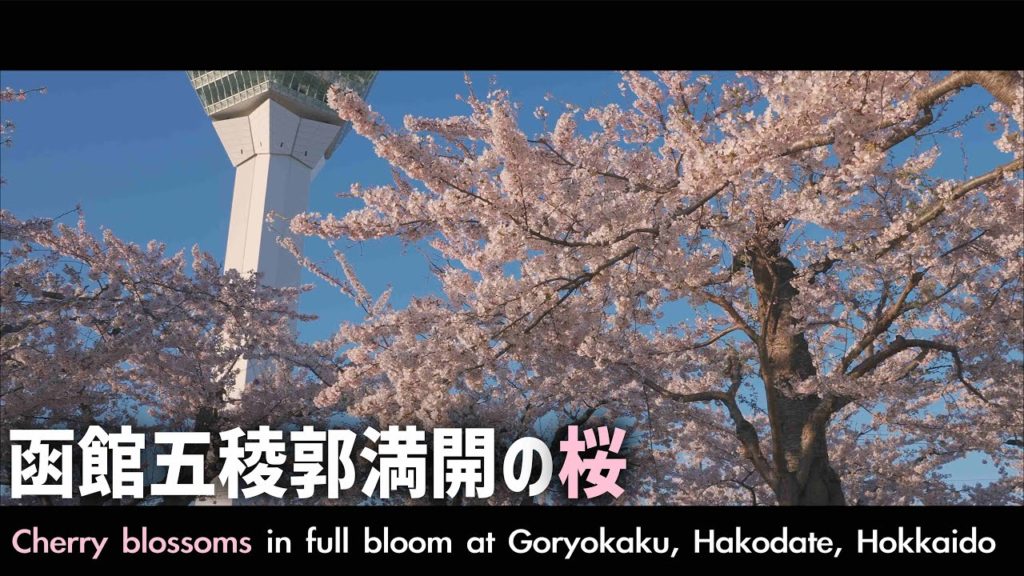 【予告編】函館五稜郭で満開の桜 出張車中泊の旅 【予告編】函館五稜郭で満開の桜 出張車中泊の旅
