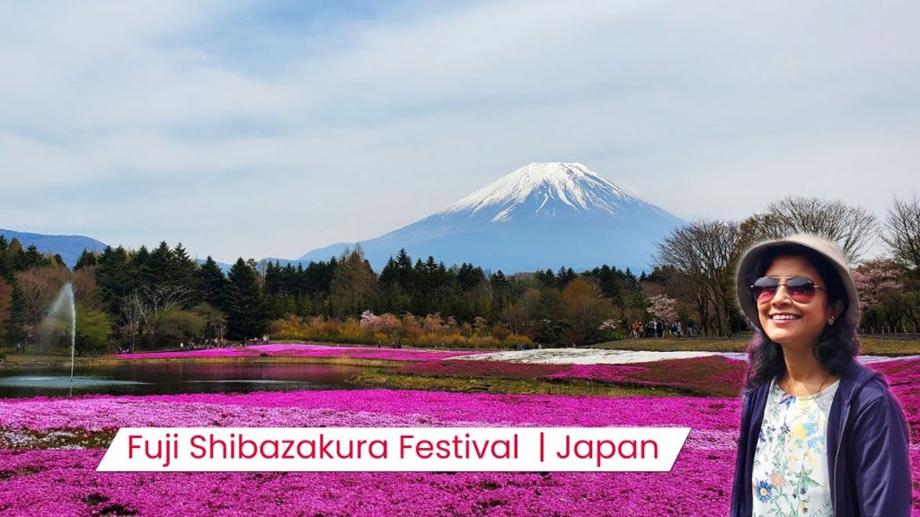 Fuji Shibazakura Festival | Japan | 2021 Fuji Shibazakura Festival | Japan | 2021