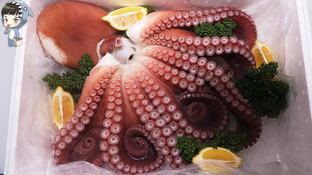 KOREAN STREET FOOD GIANT OCTOPUS DEVIL FISH KOREA SEAFOOD MARKET 포항 송도활어회센터 문어 200321