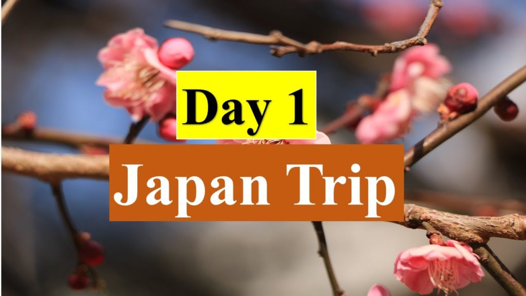 Japan Trip | Day 1 | Explore with DD