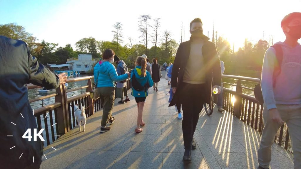 Inokashira Park Walk. Tokyo Japan Binaural Audio 【4K ASMR】