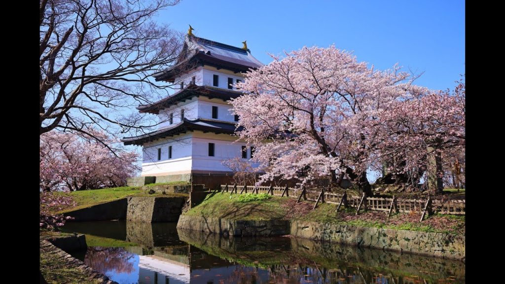 JG☆☆☆8K HDR 北海道 桜満開の楽園 松前(史跡重文) Hokkaido, Sakura at Matsumae(Historic Site,Cultural Property)