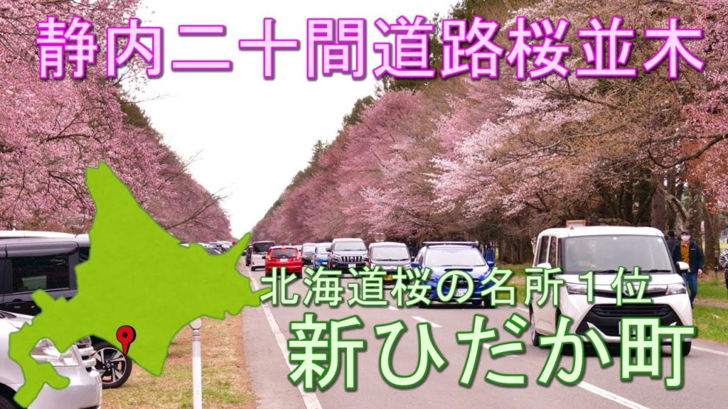 【北海道旅行】静内二十間道路桜並木です。競走馬のふるさとで、直線で約7kmにも及び、「日本の道百選」「さくら名所100選」「北海道遺産」にも選定されている。どこまでも続く満開の桜並木は一見の価値あり。