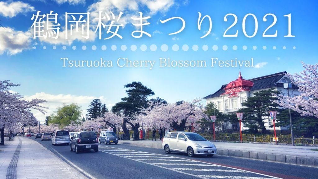 【4K】日本さくら名所百選にも選ばれた鶴岡公園で咲き誇る730本もの桜を堪能  Yamagata Tsuruoka【鶴岡桜まつり2021観光 Vlog】