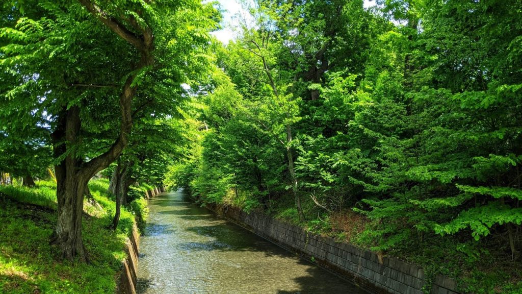 Live Tokyo Megawalk 🏡 Tamagawa Josui Pt 2 – Haijima to ? (Ends Abruptly) – 玉川上水散歩 Live Tokyo Megawalk 🏡 Tamagawa Josui Pt 2 - Haijima to ? (Ends Abruptly) - 玉川上水散歩