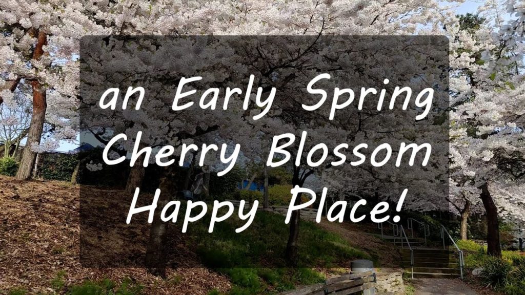 Traveling Orion Presents: Springtime Exploration through Kobe Terrace Park