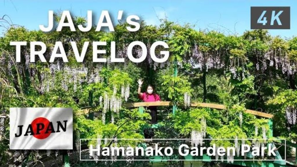 Shizuoka Japan recommended place | Hamanako Garden Park (in April)  |  Wisteria Flowers  | 藤の花 Shizuoka Japan recommended place | Hamanako Garden Park (in April)  |  Wisteria Flowers  | 藤の花