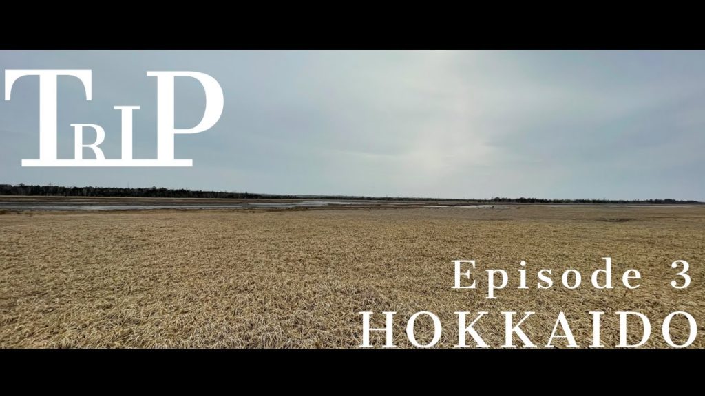 【TRIP VLOG】My Solo Trip to Hokkaido | 北海道VLOG | 春国岱を散歩するなどした| 春国岱 釧路湿原 ep.3 【TRIP VLOG】My Solo Trip to Hokkaido | 北海道VLOG | 春国岱を散歩するなどした| 春国岱 釧路湿原 ep.3
