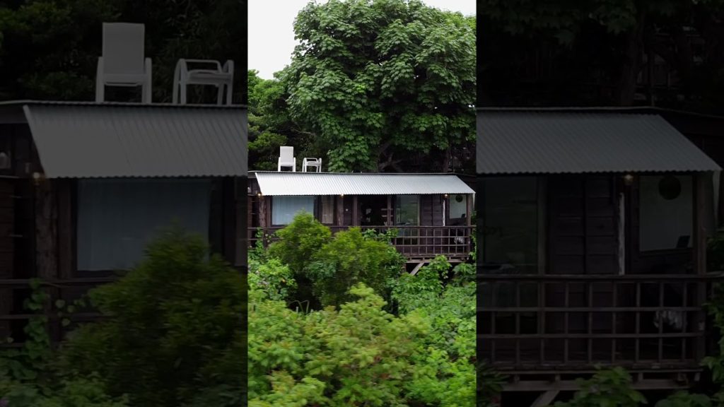 Tree House in Okinawa, Airbnb tour in Japan #shorts