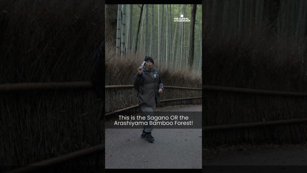 Kyoto's Arashiyama in 30 seconds!? Let's GO | GLOBAL CITIZENSHIP #shorts