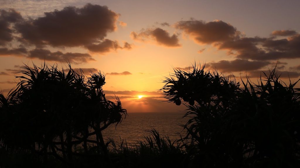 【Japan 1minute Travel KAGOSHIMA Amami Oshima】鹿児島 奄美大島（残照を浴びてるアダンとキラキラ光る春の海）