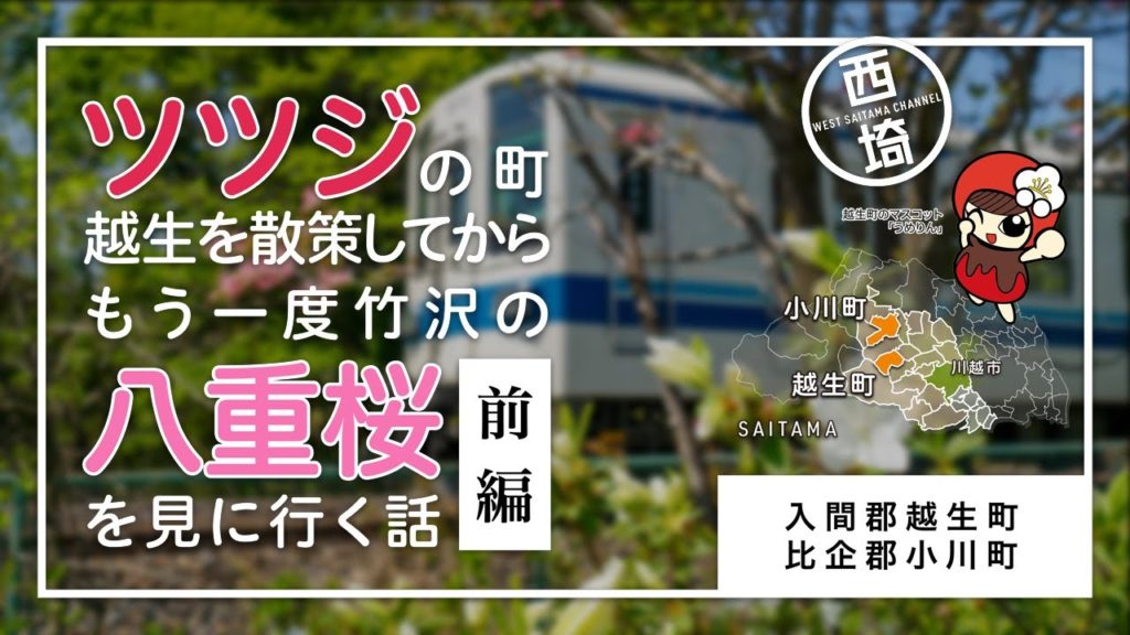 【越生&竹沢 前編】ツツジの町を散策しよう 【越生&竹沢 前編】ツツジの町を散策しよう