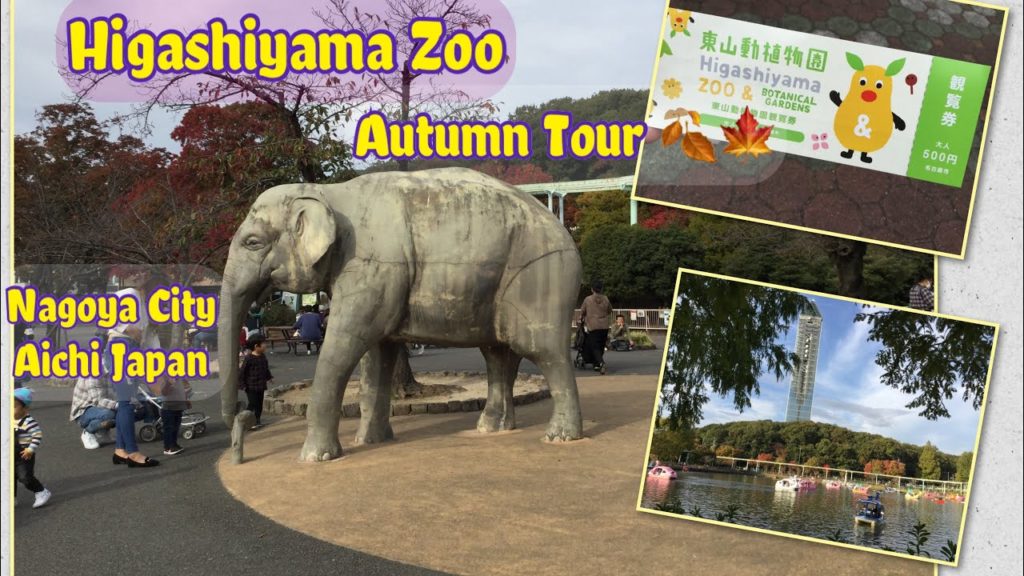 Higashiyama Zoo Autumn Tour 2020| Nagoya City Aichi Ken Japan