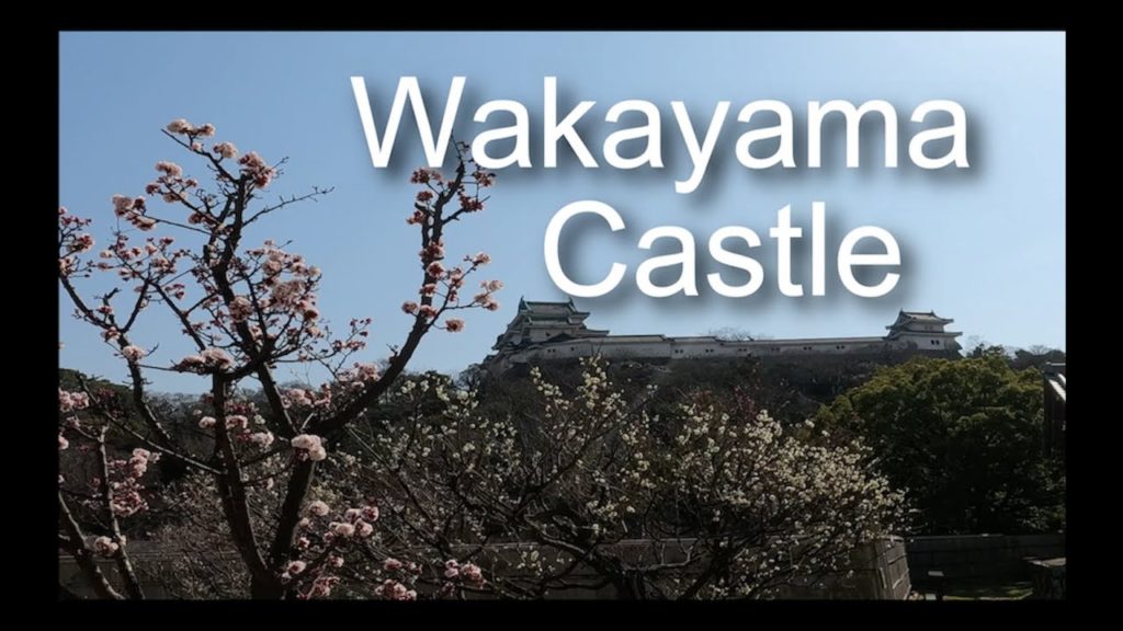 和歌山城と梅の花, Wakayama Castle and Japanese Plum Blossom, 4K Footage in Wakayama, Japan