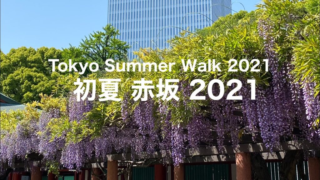 【初夏2021】満開の藤棚~東京・赤坂 日枝神社 2021 Japan Trip Tokyo Askasaka Summer Walk 旅行 【初夏2021】満開の藤棚~東京・赤坂 日枝神社 2021 Japan Trip Tokyo Askasaka Summer Walk 旅行