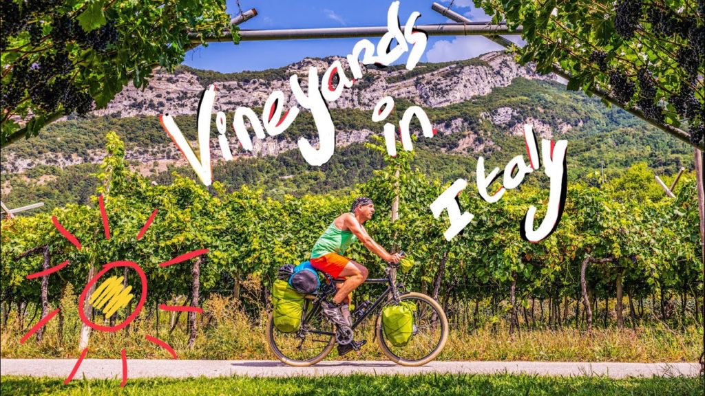 Cycling along river Adige: vineyards and apple trees, yum!! Sun Route Italy Cycling along river Adige: vineyards and apple trees, yum!! Sun Route Italy