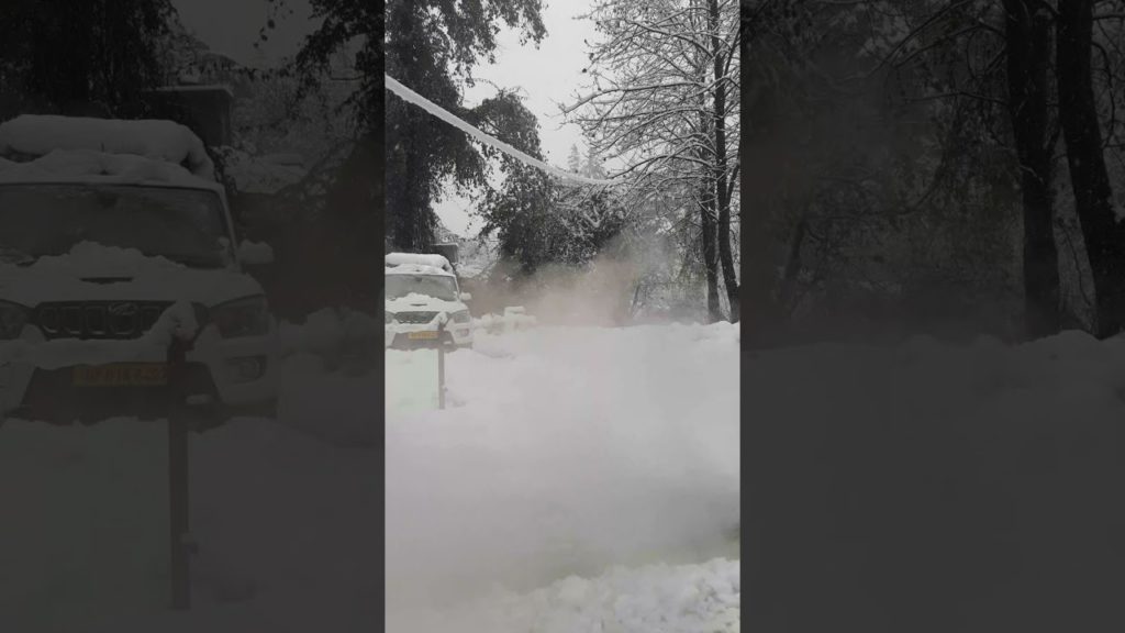 live snowfall  manali  himachal Pradesh