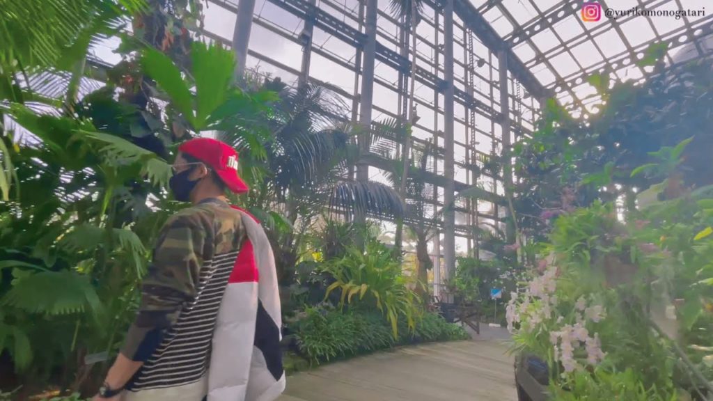 LARGEST BOTANICAL GARDEN IN OSAKA l SAKUYA KONOHANA KAN l TRAVEL VLOG