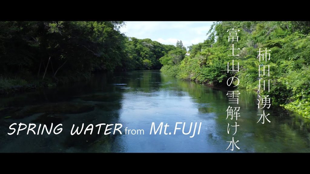 Walking around Kakita river spring park 柿田川湧水公園散策 (Shizuoka JAPAN)