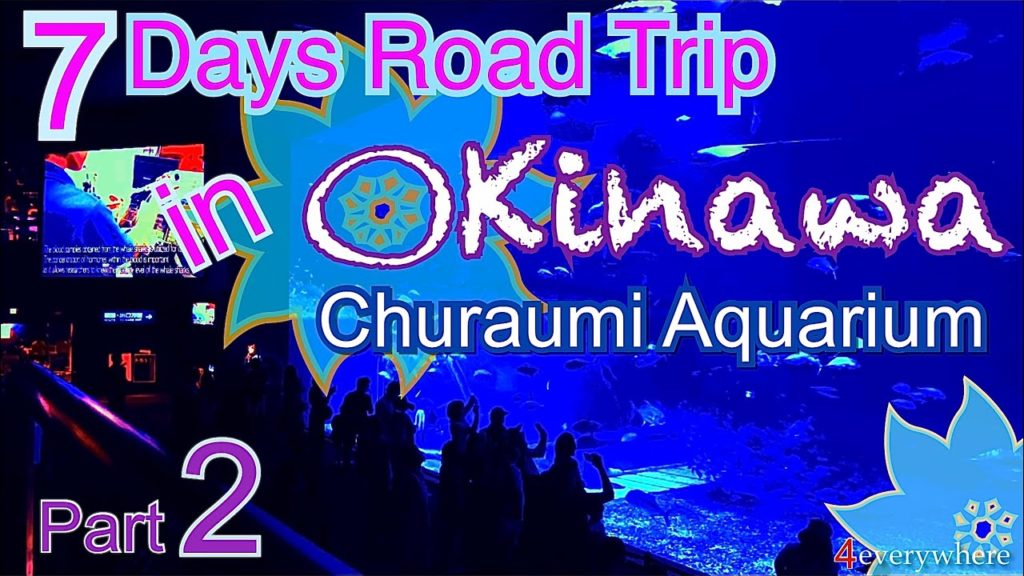 Okinawa 7 Days Road Trip  P - 2