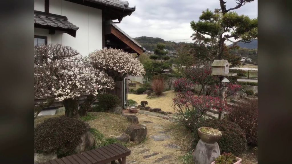 Tour Nagasaki provides many different private tour options for our customers.