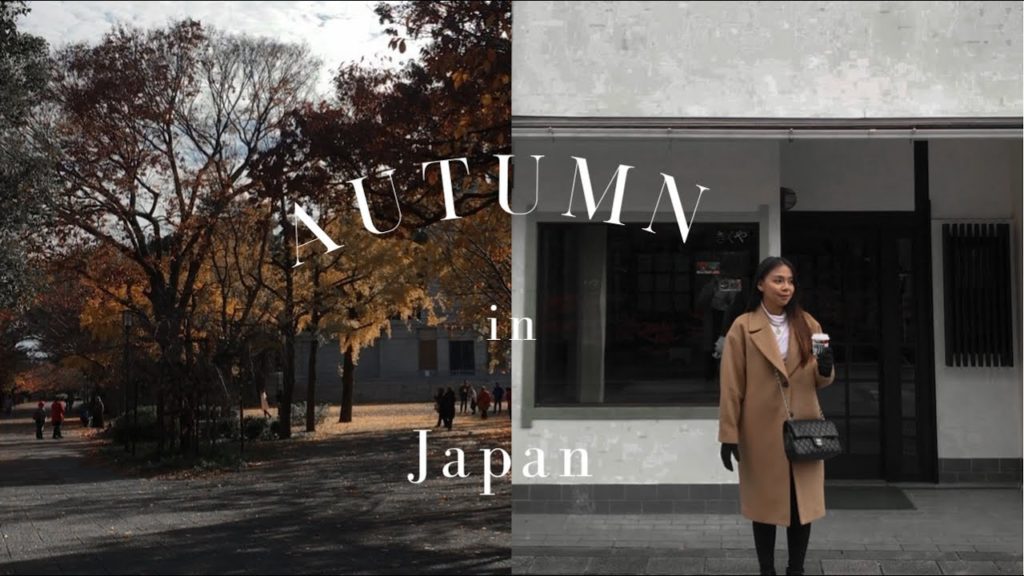 autumn in japan travel vlog | osaka to kyoto