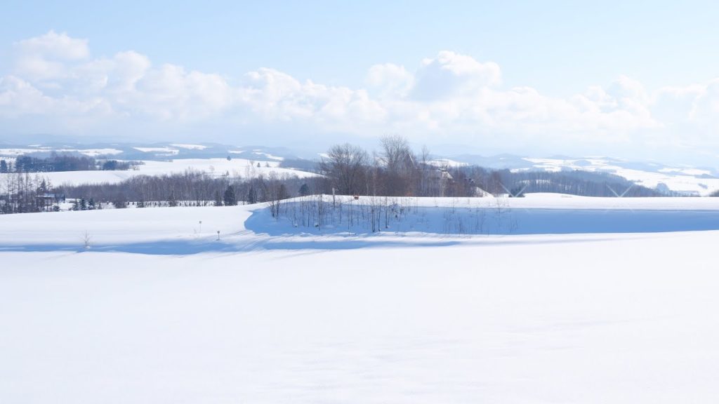 Biei Snow Fields Hokkaido