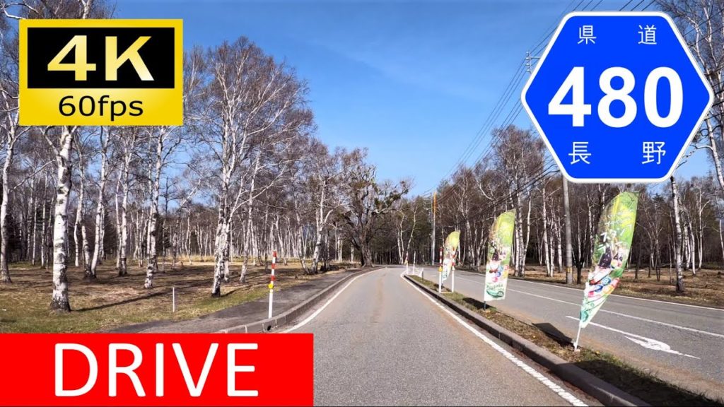 【車載動画/Driver's view】美林の高原ロード：長野県道480号松原湖高原線/Driving in Japan: Chiyosato - Koumi Sta., Nagano [4K]