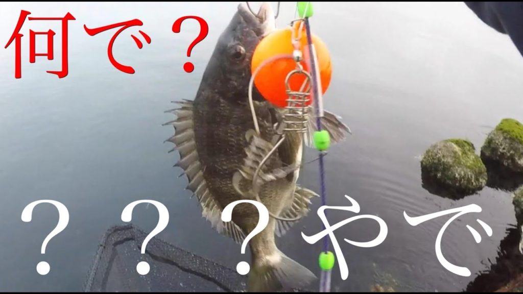 ウルトラミラクル!秒で釣る!!今日はブリさんと懐かしい会話メインです(笑)ポポパパ 釣り fishing Shorejigging ウルトラミラクル!秒で釣る!!今日はブリさんと懐かしい会話メインです(笑)ポポパパ 釣り fishing Shorejigging