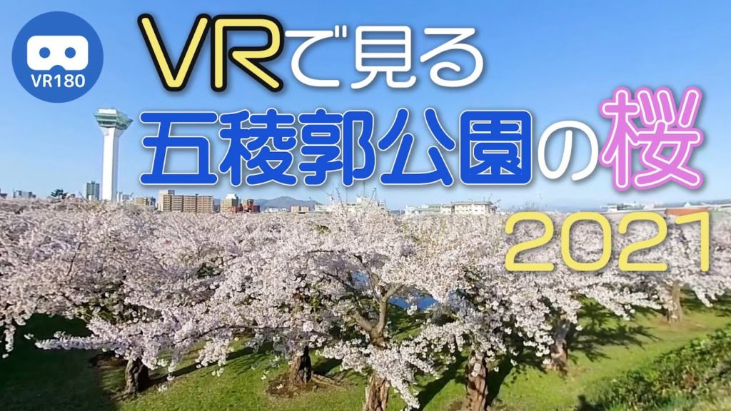 【VR180】VRで見る五稜郭公園の桜 2021 【VR180】VRで見る五稜郭公園の桜 2021