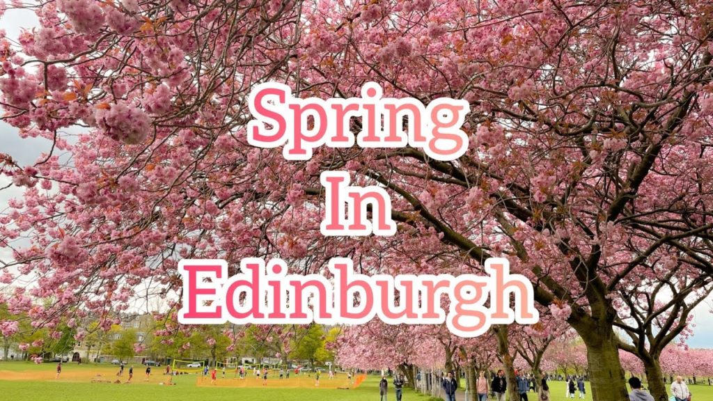 Spring in Edinburgh 2021 | 4K | Cherry Blossoms | Sakura Spring in Edinburgh 2021 | 4K | Cherry Blossoms | Sakura