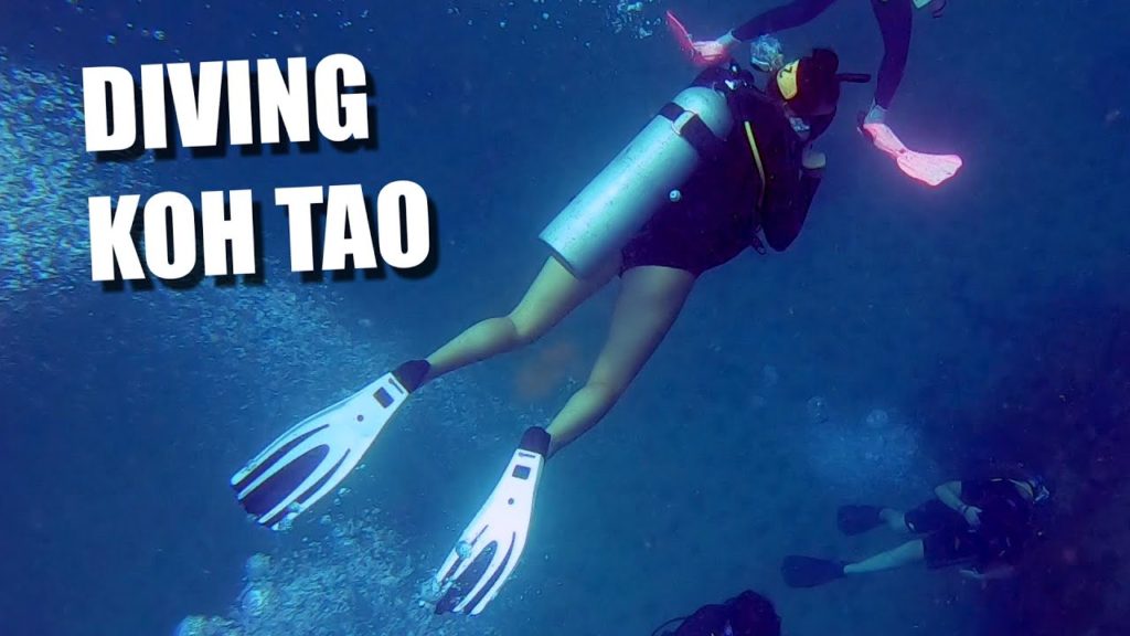 Fun Scuba Diving in Koh Tao Thailand Fun Scuba Diving in Koh Tao Thailand